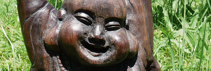 Glücklicher Buddha in der Wiese